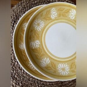 Vintage floral dinner plates.